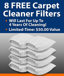 https://media.daimer.com/data/Image/Free-Daimer-Carpet-Cleaner-Filter-Bags.jpg?rev=9C03